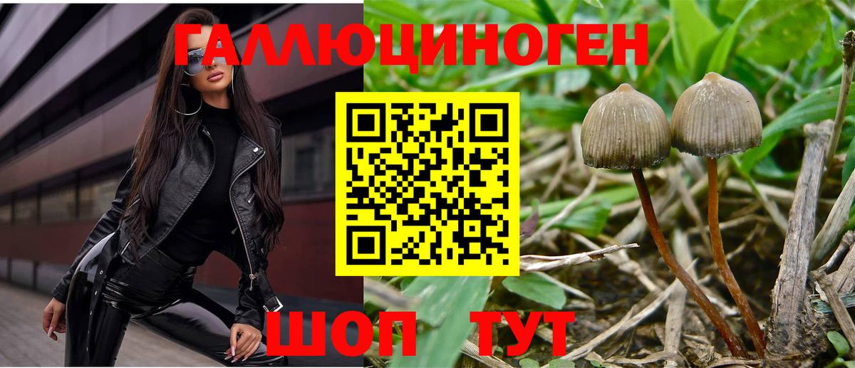 Шадринск  Псилоцибиновые грибы Cubensis  Галлюциногенные грибы мухоморы  Вход с VPN 